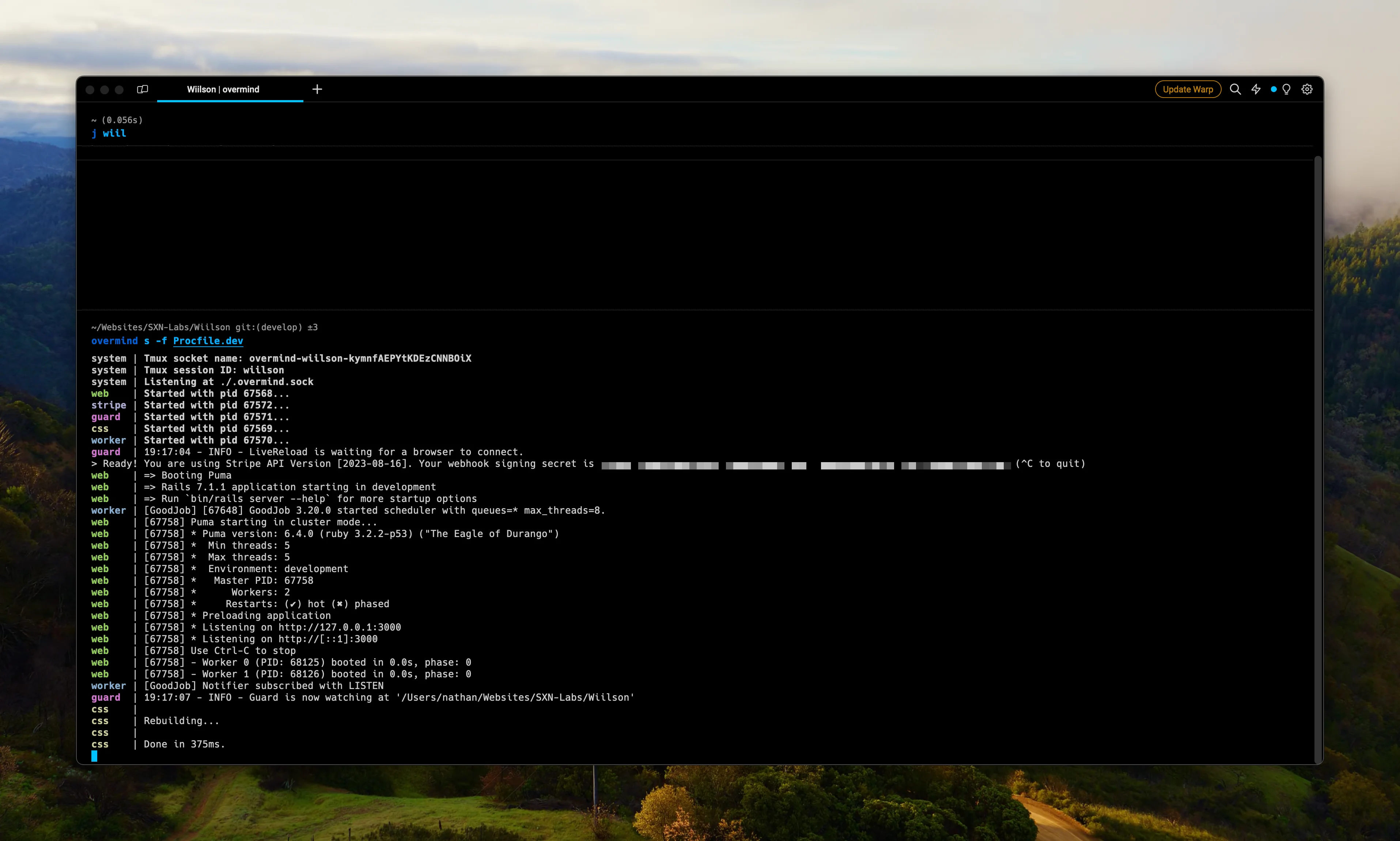 Overmind server command